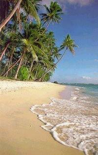 fiji.bmp